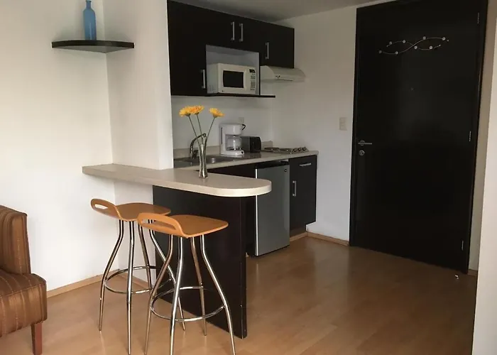Apartment A Furnished With Hotel-like Amenities Mexico City